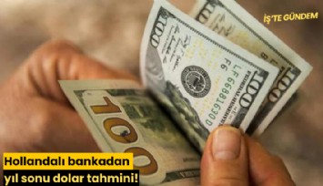 Hollandalı bankadan yıl sonu dolar tahmini!