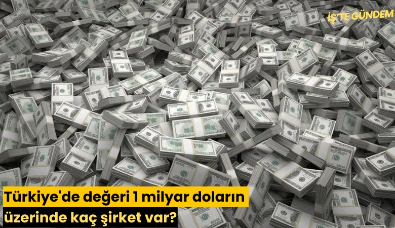 Türkiye'de değeri 1 milyar doların üzerinde kaç şirket var?