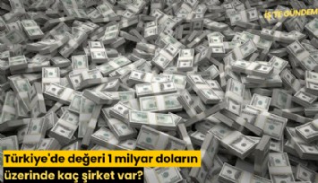 Türkiye'de değeri 1 milyar doların üzerinde kaç şirket var?