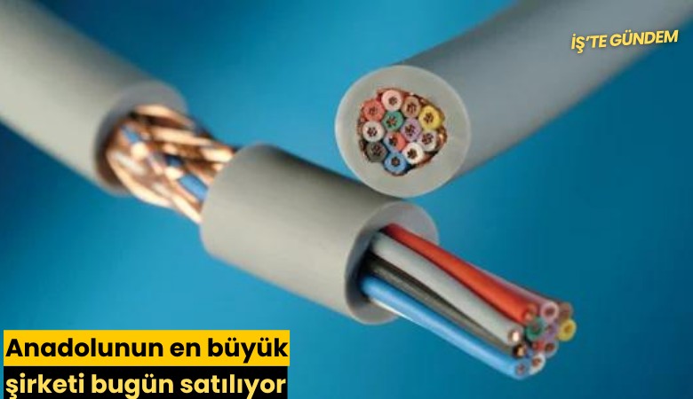 Anadolunun en büyük şirketi bugün satılıyor