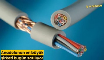 Anadolunun en büyük şirketi bugün satılıyor