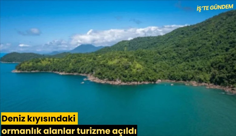 Deniz kıyısındaki ormanlık alanlar turizme açıldı