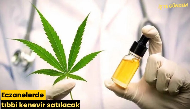 Eczanelerde tıbbi kenevir satılacak
