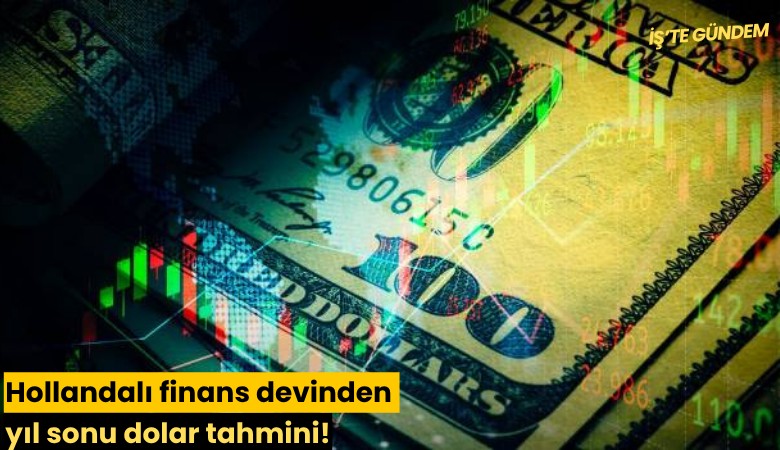 Hollandalı finans devinden yıl sonu dolar tahmini!