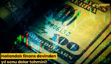 Hollandalı finans devinden yıl sonu dolar tahmini!