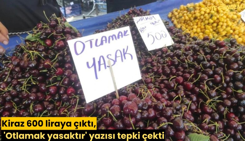 Kiraz 600 liraya çıktı, 'Otlamak yasak' yazısı tepki çekti
