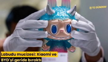 Labudu mucizesi: Xiaomi ve BYD'yi geride bıraktı