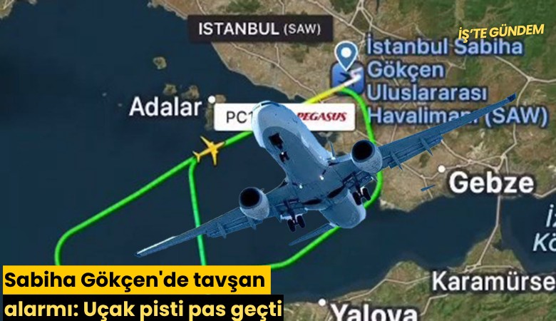 Sabiha Gökçen'de tavşan alarmı: Uçak pisti pas geçti