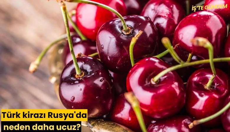 Türk kirazı Rusya'da neden daha ucuz?