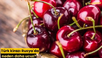 Türk kirazı Rusya'da neden daha ucuz?