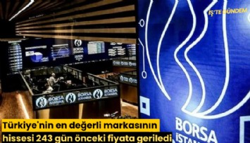 Türkiye'nin en değerli markasının hissesi 243 gün önceki fiyata geriledi