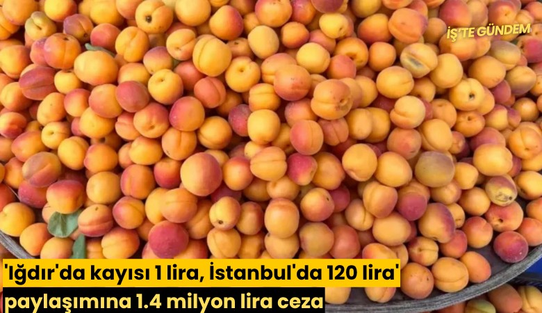 'Iğdır'da kayısı 1 lira, İstanbul'da 120 lira' paylaşımına 1.4 milyon lira ceza