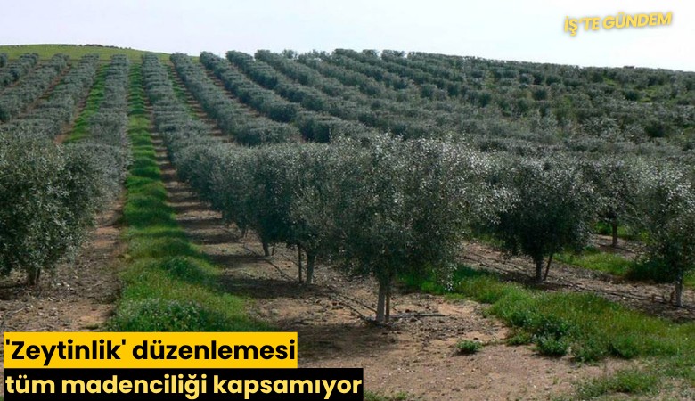 'Zeytinlik' düzenlemesi tüm madenciliği kapsamıyor