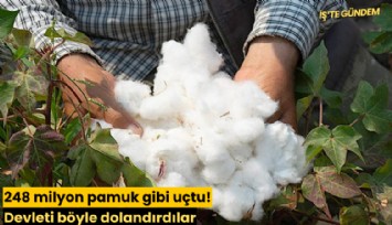 248 milyon pamuk gibi uçtu! Devleti böyle dolandırdılar