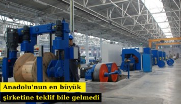 Anadolu'nun en büyük şirketine teklif bile gelmedi