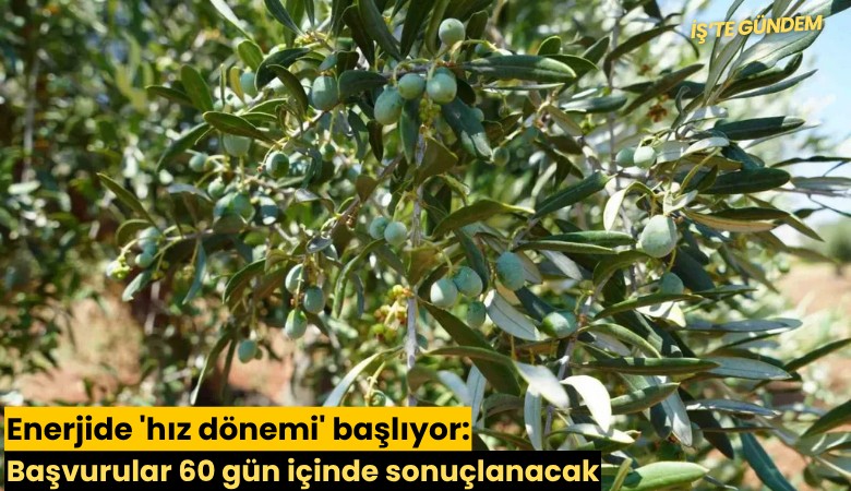 Enerjide 'hız dönemi' başlıyor: Başvurular 60 gün içinde sonuçlanacak