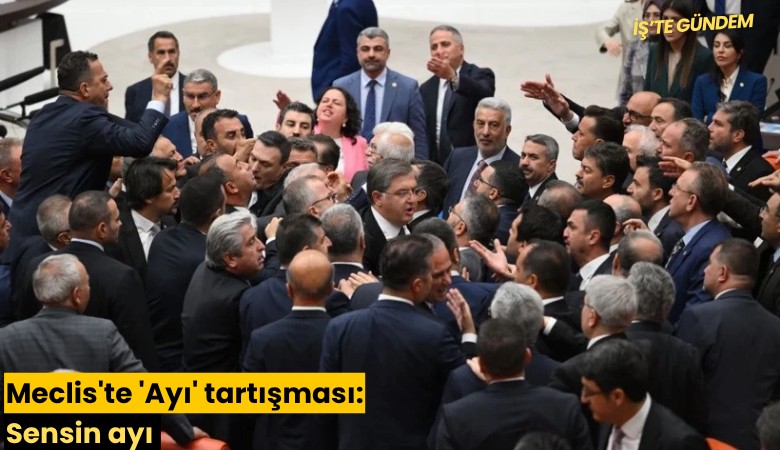 Meclis'te 'Ayı' tartışması: Sensin ayı, ahlaksız herif