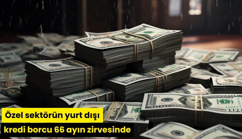 Özel sektörün yurt dışı kredi borcu 66 ayın zirvesinde