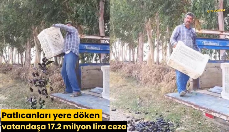 Patlıcanları yere döken vatandaşa 17.2 milyon lira ceza