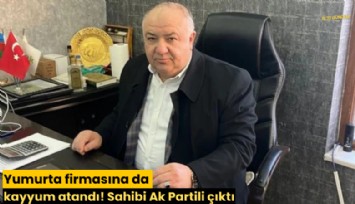 Yumurta firmasına da kayyum atandı! Sahibi Ak Partili çıktı