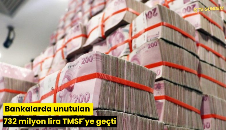 Bankalarda unutulan 732 milyon lira TMSF'ye geçti