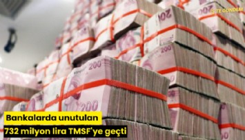 Bankalarda unutulan 732 milyon lira TMSF'ye geçti