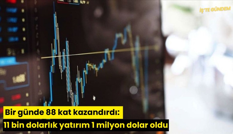 Bir günde 88 kat kazandırdı: 11 bin dolarlık yatırım 1 milyon dolar oldu