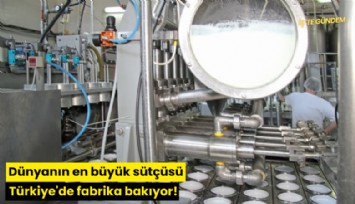 Dünyanın en büyük sütçüsü Türkiye'de fabrika bakıyor!
