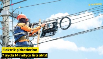 Elektrik şirketlerine 7 ayda 14 milyar lira aktı!