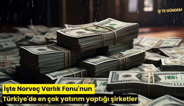 İşte Norveç Varlık Fonu'nun Türkiye'de en çok yatırım yaptığı şirketler