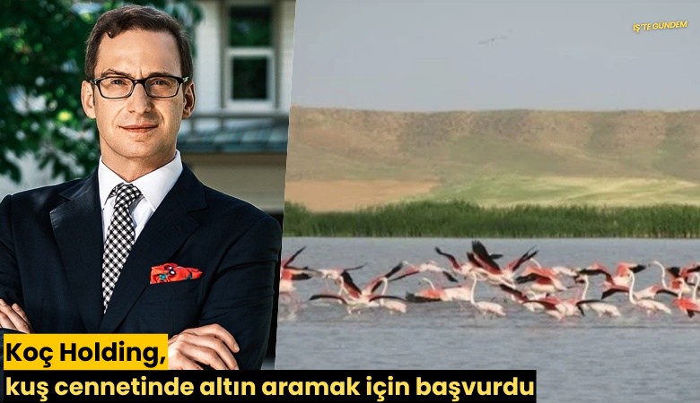 Koç Holding kuş cennetinde altın aramak için başvurdu