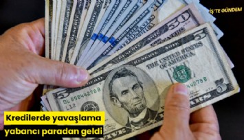 Kredilerde yavaşlama yabancı paradan geldi