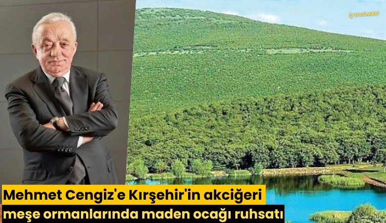 Mehmet Cengiz'e Kırşehir'in akciğeri meşe ormanlarında maden ocağı ruhsatı