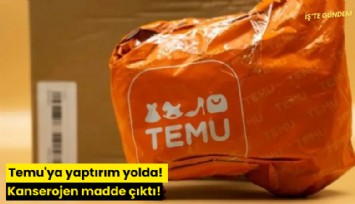 Temu'ya yaptırım yolda! Kanserojen madde çıktı!
