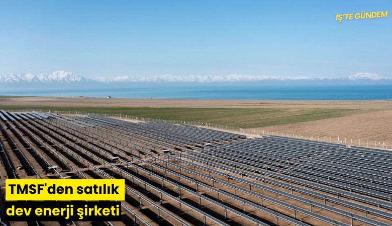 TMSF'den satılık dev enerji şirketi