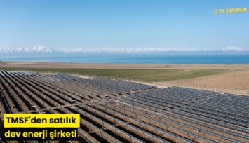 TMSF'den satılık dev enerji şirketi