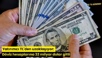 Yatırımcı TL'den uzaklaşıyor: Döviz hesaplarına 32 milyar dolar gitti
