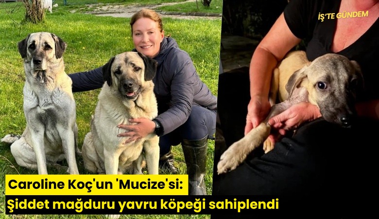Caroline Koç'un 'Mucize'si: Şiddet mağduru yavru köpeği sahiplendi