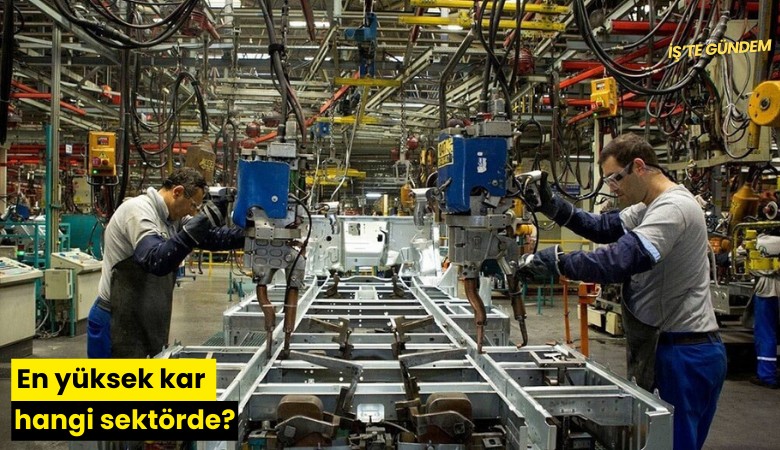 En yüksek kar hangi sektörde?