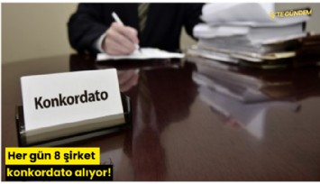 Her gün 8 şirket konkordato alıyor!