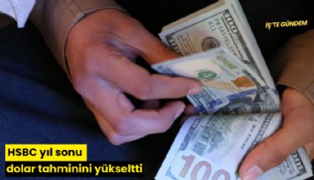HSBC yıl sonu dolar tahminini yükseltti