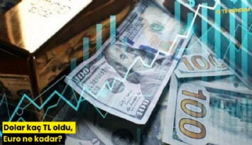 Dolar kaç TL oldu, Euro ne kadar?