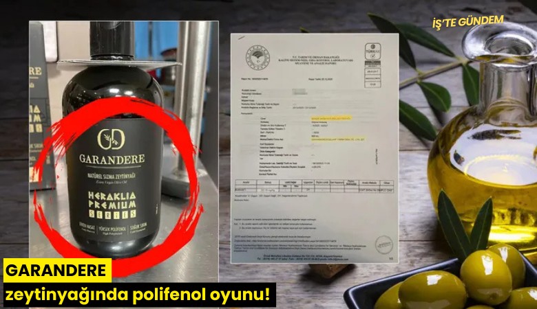 GARANDERE zeytinyağında polifenol oyunu!