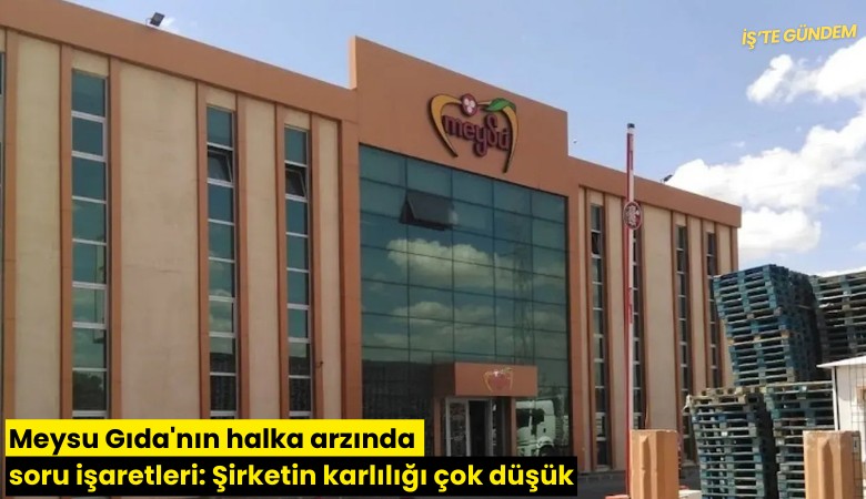 Meysu Gıda'nın halka arzında soru işaretleri: Şirketin karlılığı çok düşük
