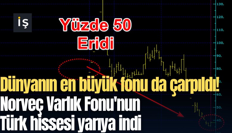 Dünyanın en büyük fonu da çarpıldı! Norveç Varlık Fonu'nun Türk hissesi yarıya indi