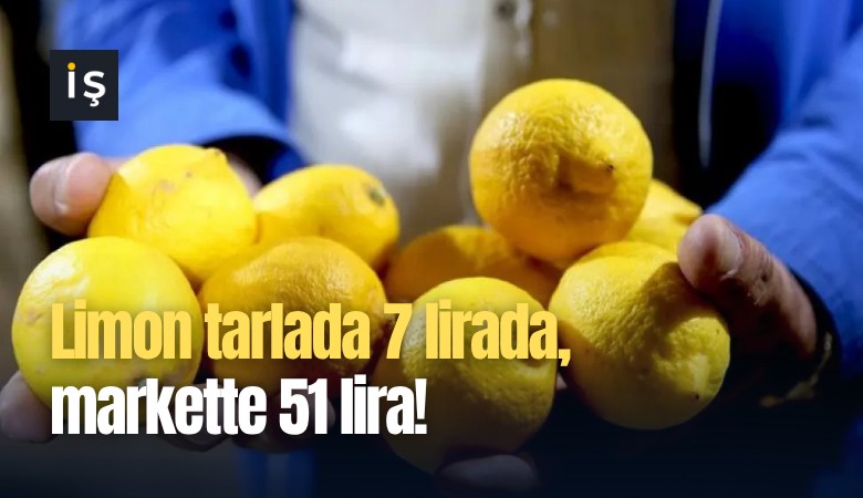 Limon tarlada 7 lirada, markette 51 lira!