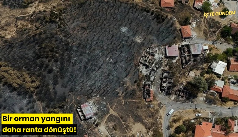 Bir orman yangını daha ranta dönüştü!