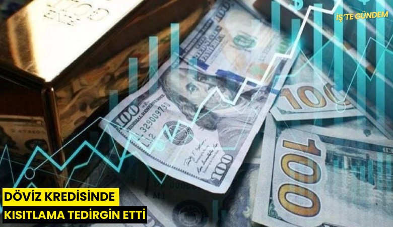 Döviz kredisinde kısıtlama tedirgin etti