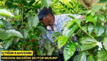 İçtiğin kahvenin nereden geldiğini biliyor musun?