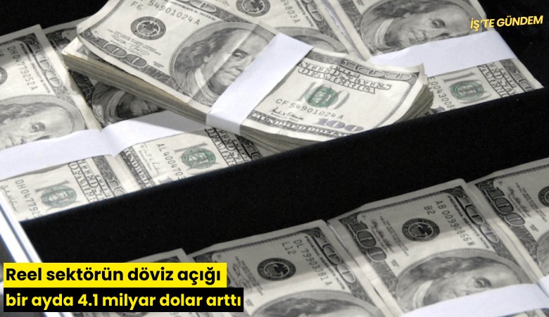 Reel sektörün döviz açığı bir ayda 4.1 milyar dolar arttı